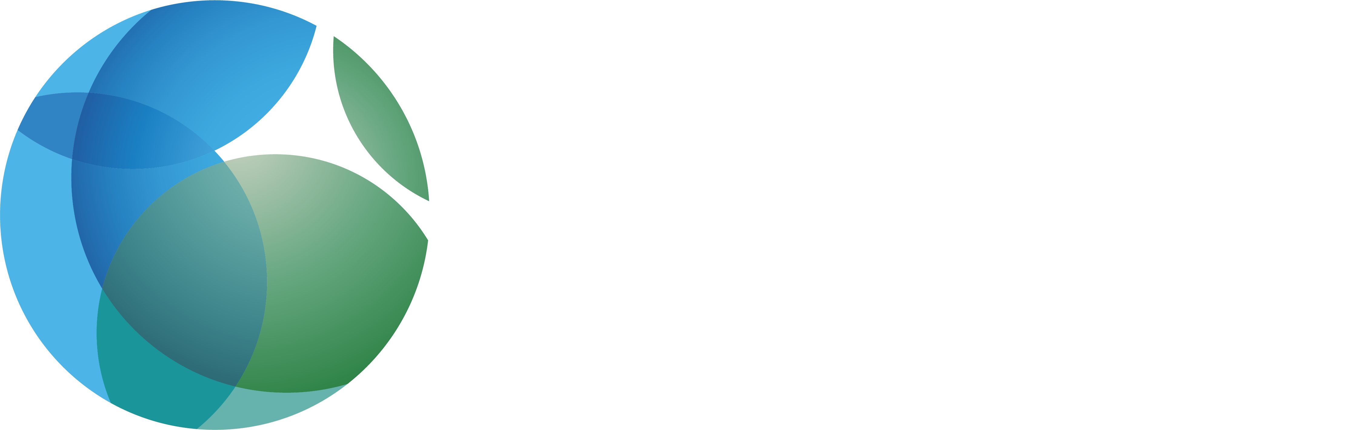 Nippon Sanso